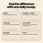 Feel the difference with one daily scoop: energy, strength and power, hydration, gut support, recovery and focus, with the key ingredients behind each