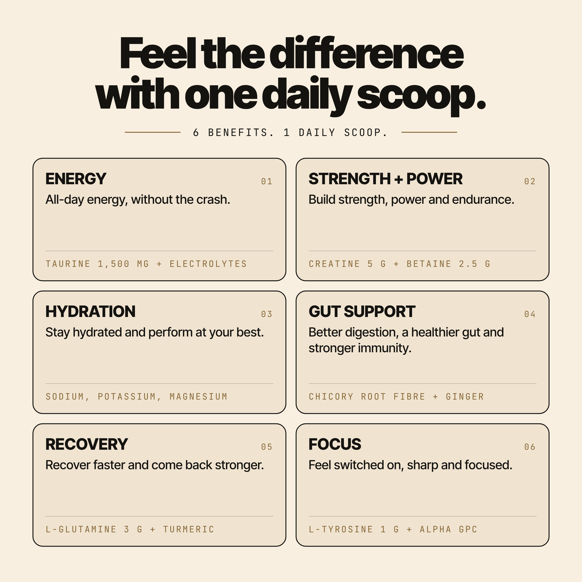 Feel the difference with one daily scoop: energy, strength and power, hydration, gut support, recovery and focus, with the key ingredients behind each