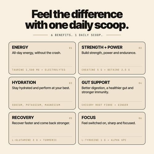 Feel the difference with one daily scoop: energy, strength and power, hydration, gut support, recovery and focus, with the key ingredients behind each